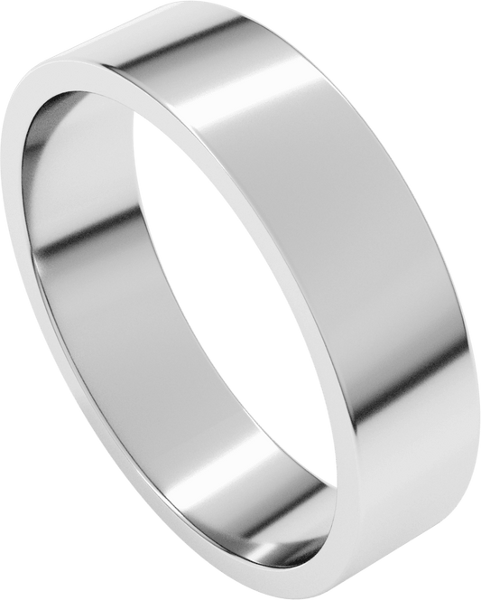 10K White Gold 5 mm Flat Band